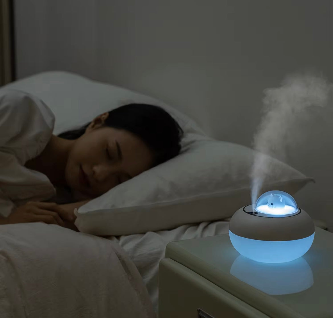 Cat humidifier