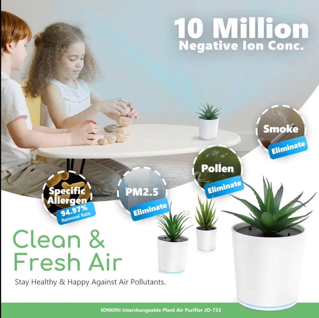 Plant air purifier