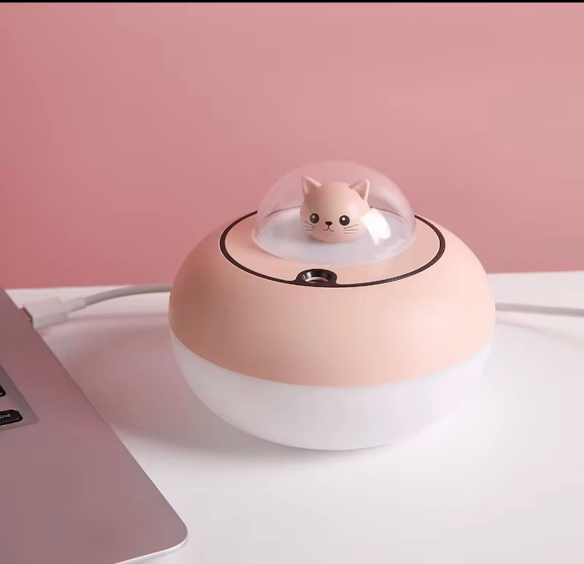 Cat humidifier