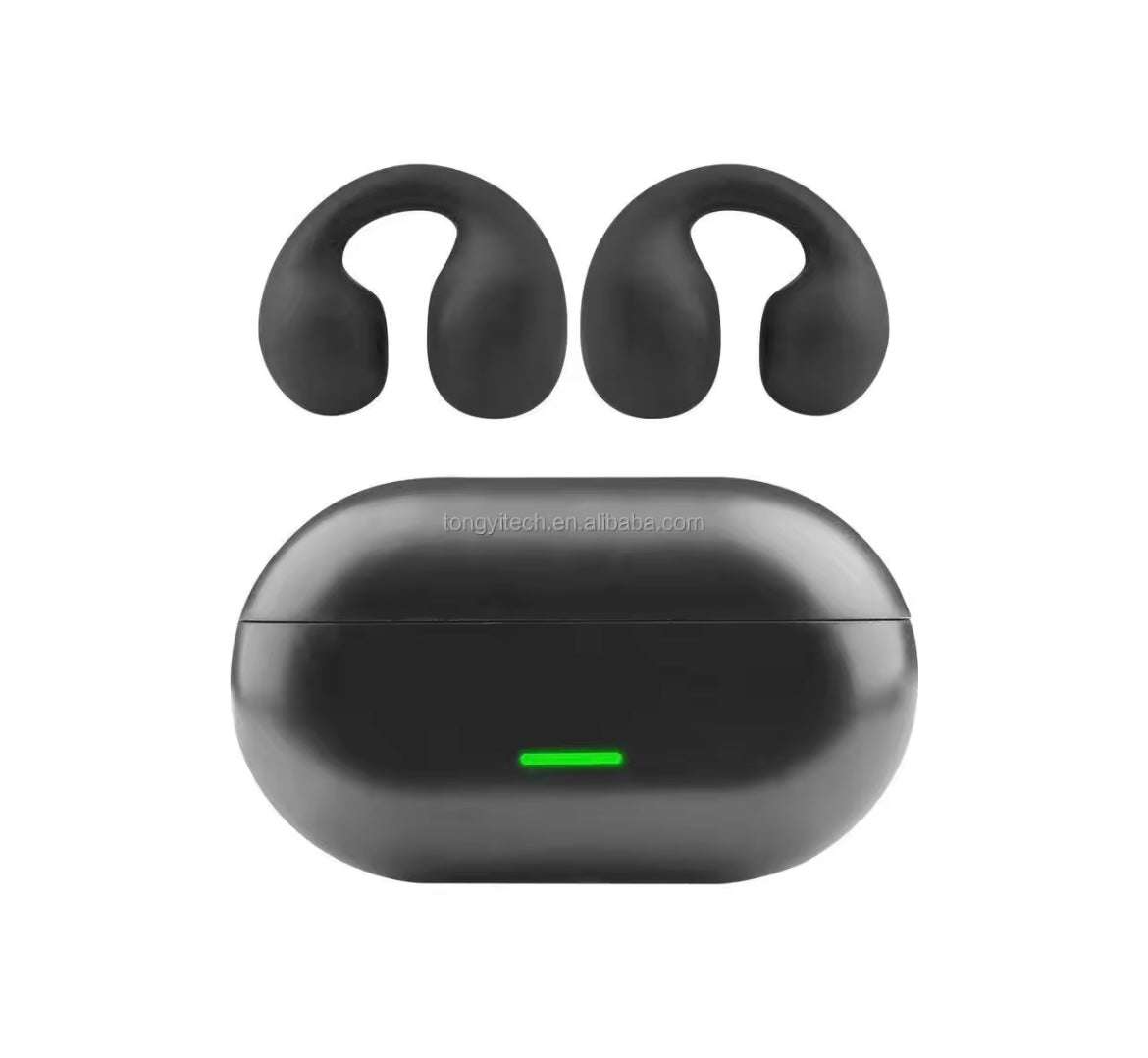 Ear buds