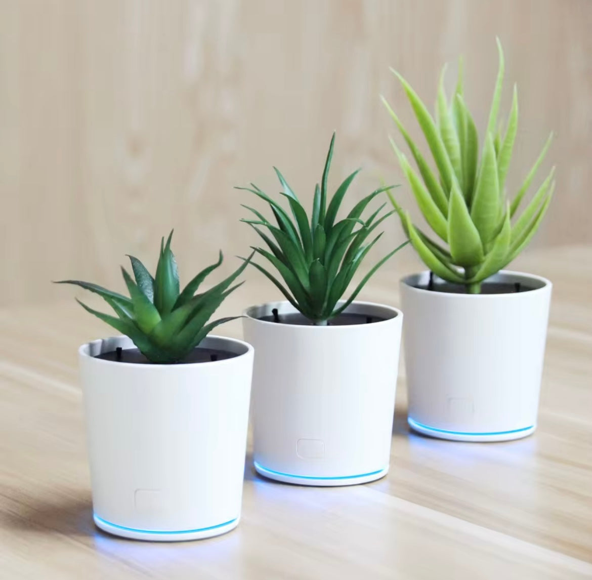 Plant air purifier