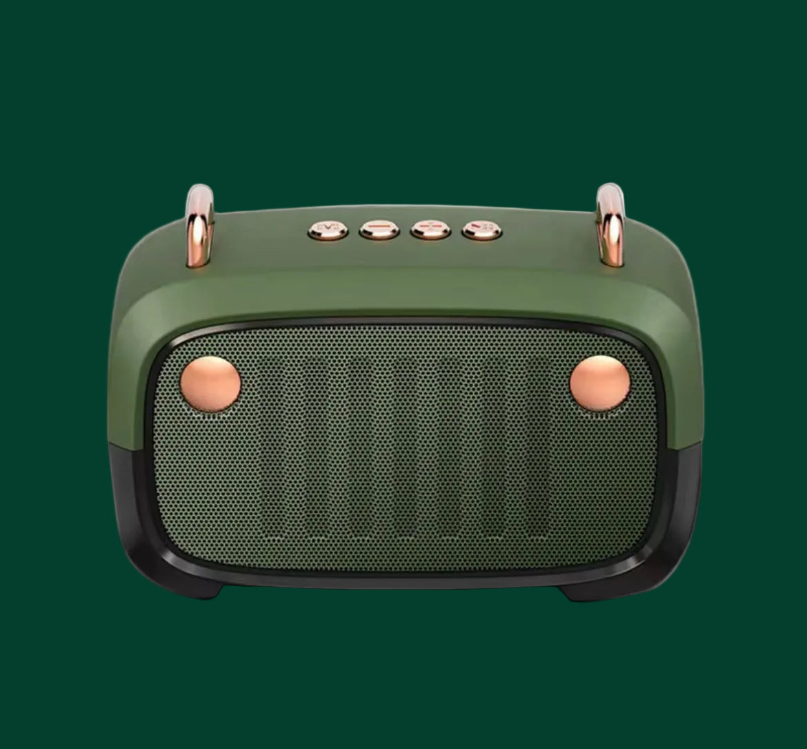 Retro speaker