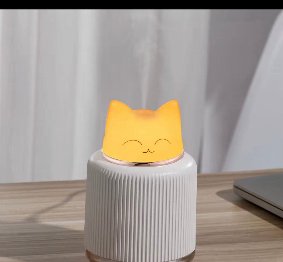 Cat air purifier