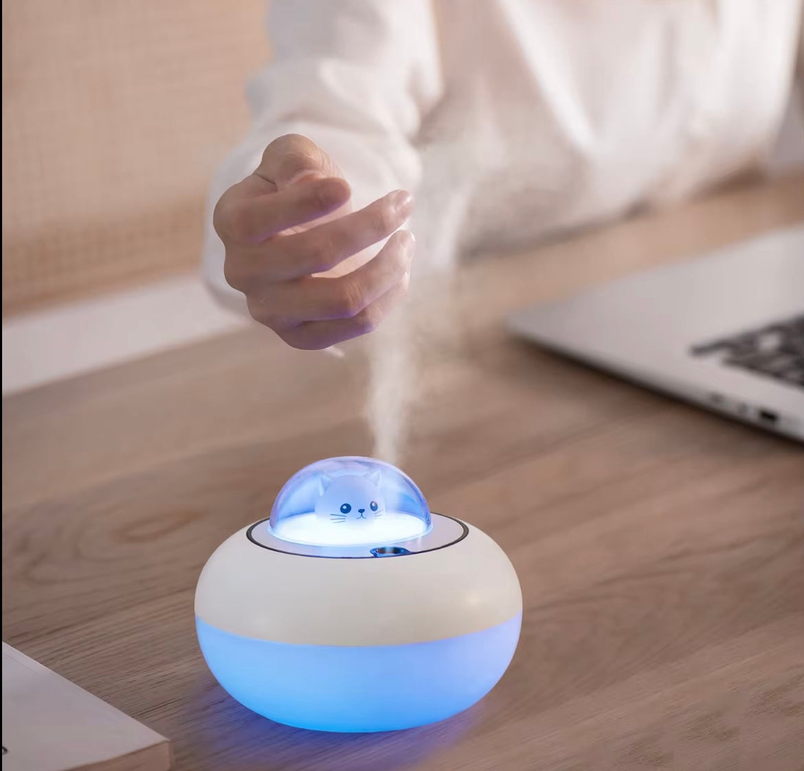 Cat humidifier