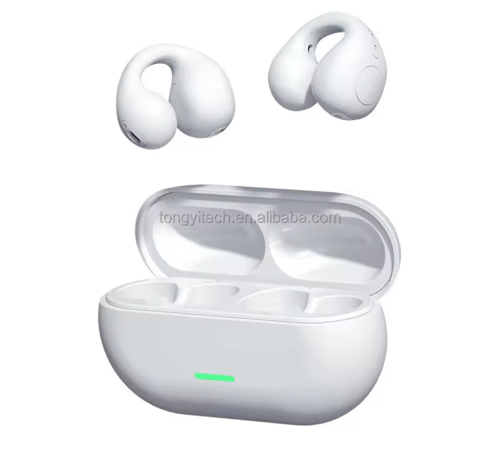 Ear buds