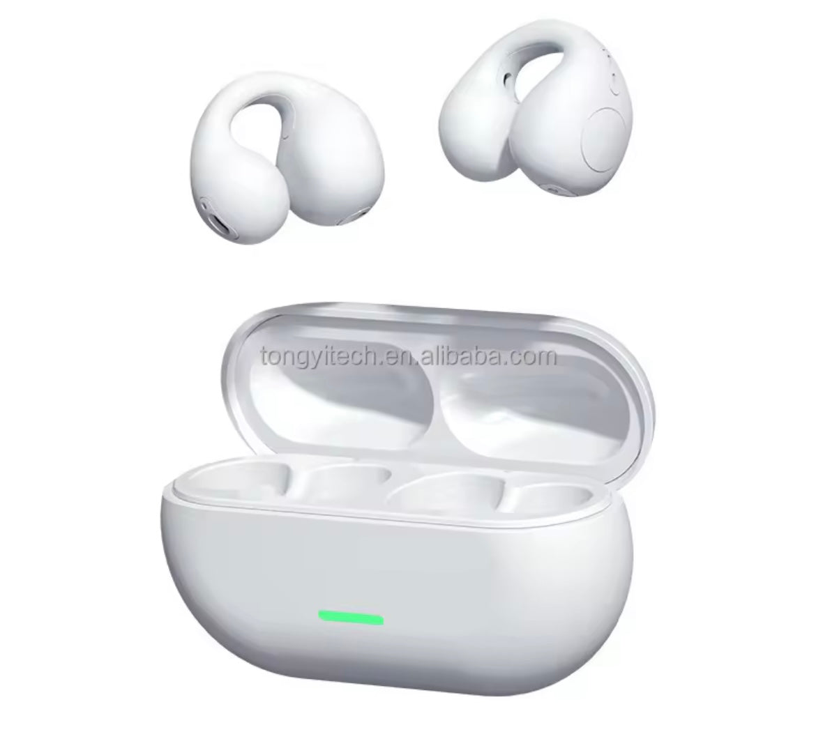Ear buds
